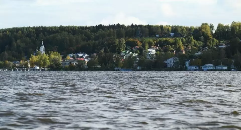 Новые обитатели Волги: ученые обнаружили 10 неведомых рыб