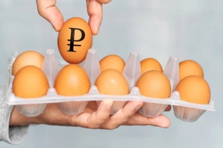 � �����: ���� �� �������� ������ ��������