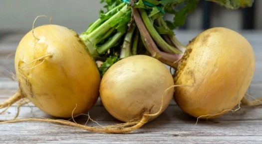 ����: ������� ��������, ������� ������������ �� ���� �����