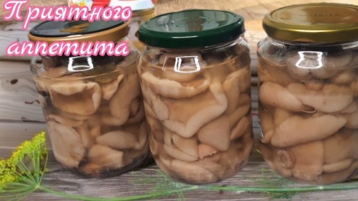 ��� ��������� ������������ �������: ������� � �������