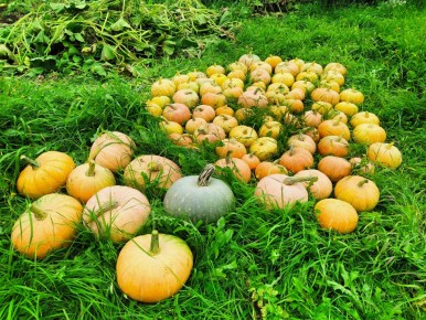 ��������� �������: ��� ��������� �� �������� � �������� ������� �������