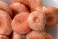 Волнушка: популярный гриб с интересным вкусом